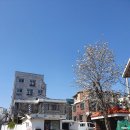 성심이용원 이미지