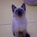 괴정4동-7 이미지