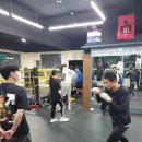 버팔로복싱짐