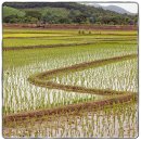 명기목장 이미지