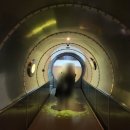 PC 캐슬(NO.56) | 중국 칭다오 여행 코스 중국동방항공부터 잔교 불야성 대학로 등 요즘 핫플들 총정리