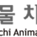 이비치동물치과병원