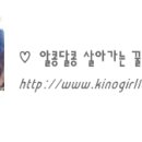 솔희네
