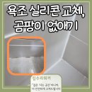 어정로 | 기흥구 상하동 욕조 실리콘 교체, 곰팡이 없애기