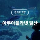 힘찬염소농장 | 아쿠아플라넷 일산 통합권 할인정보 서울근교 실내 아이랑 가볼만한곳 내돈내산