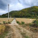 경주시내남면박달보건진료소 이미지