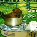 하이트광장 - 거제시 | 하이트광장