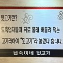 넙죽이네뒷고기