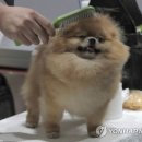 원 종합동물병원 이미지