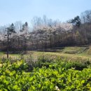 홍이네포차 이미지