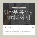 티아이시스템 | 임산부 유산균 추천 셀티아이 맘 내돈내산, 배송의 급이 다른 이유(재구매 후기)