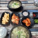 충주식 병천시래기순대국 네이버블로그
