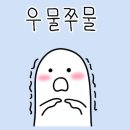 절대남녀 | 세종연결(미혼남녀 소개팅) 찐후기 (내가 다녀왔다!!!참가자가 쓰는 후기)