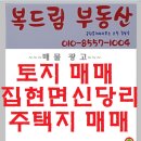 신당리 Daum카페