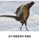 팔팔세탁소 이미지