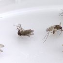 서울모텔 이미지