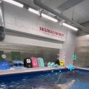 엉클베어스윔앤피티 이미지