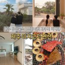 꽃잎펜션 | 제주 이지코지 펜션 후기 | 제주 숙소 추천 | 제주 애월 감성숙소 이지코지 펜션 (자쿠지·프라이빗 마당)