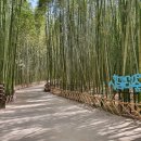 옛날돼지국밥 이미지