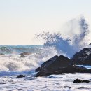 황옥공주 인어상 이미지