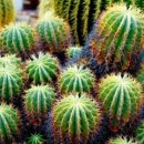 지산전자 이미지