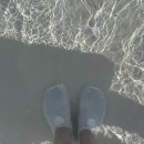 용인 A.S 정비 | [용인 캐리비안베이 골드시즌 종일권 후기] 셔틀버스/준비물/자켓 대여/어트랙션 대기 시간/이용 꿀팁...