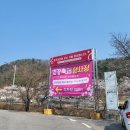 벚꽃길(에덴) 주유소 이미지