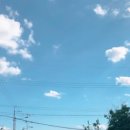 도안닭집 이미지