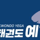 국가대표태권도 예가 이미지