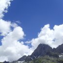 돈키호테 로시난테 카카오 검색결과