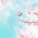 필치과의원 이미지