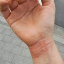 강북연합내과의원 이미지