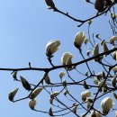 지니스안경 서산예천사거리점 이미지