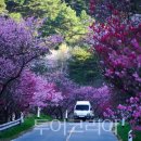 나들이펜션A 이미지