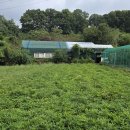 반월농장 이미지