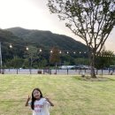 동탄남부주유소 | 천안아산 애견전용캠핑장 울타리 수영장 개별화장실까지 갓벽한 캠프정감