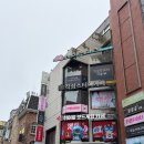 앵무새 | [대학로 실내 놀거리/대학로데이트] 미어캣 파크에서 미어캣, 파충류, 앵무새 보고 온 후기