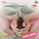 디딤돌 이미지