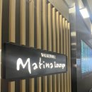 미스터 몽 | [신혼여행 1일차] 시드니 도착하자마자 갈 곳이 너무 많아서 2.7만보 달성한 쀼..(하이드파크, 달링하버...