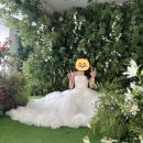 제이아트쥬얼리 | [W13.] 웨딩 촬영 후기_르안스튜디오(촬영 시안 공유)