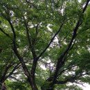 운주산아래 | 빗 속의 여행, 통영 /이순신장군의 성지, 한산도 제승당