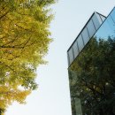 은행나무한의원 이미지