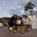 청춘 ON.1 빈센트블루 | 생존신고함니다.