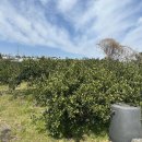 토평동-1 이미지