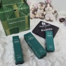 강아지랑고양이 | 페페로니펫 오트밀 비건 스킨케어 강아지 보습제 고양이 피부관리 후기