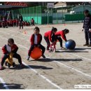 창촌 초등학교 병설유치원 이미지