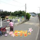 자연나라숲속유치원 이미지