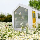 오늘여기 이미지