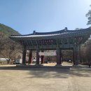 등운산(騰雲山) 고운사(孤雲寺)와 청노루귀 ＜경상북도 의성군＞ 24/03/30 이미지