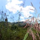 생태터널입구 이미지